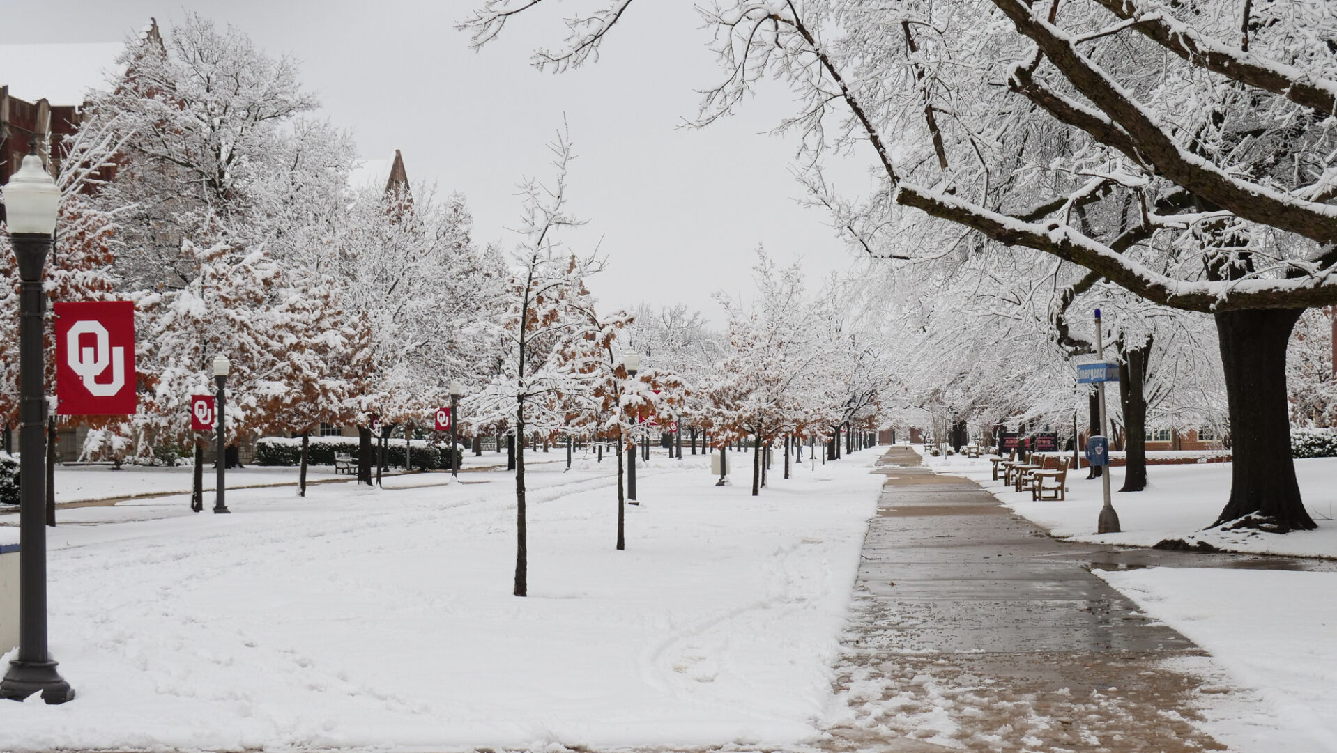 Snow on the South Oval